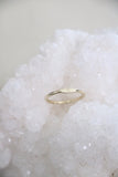 signet ring { silver + gold }